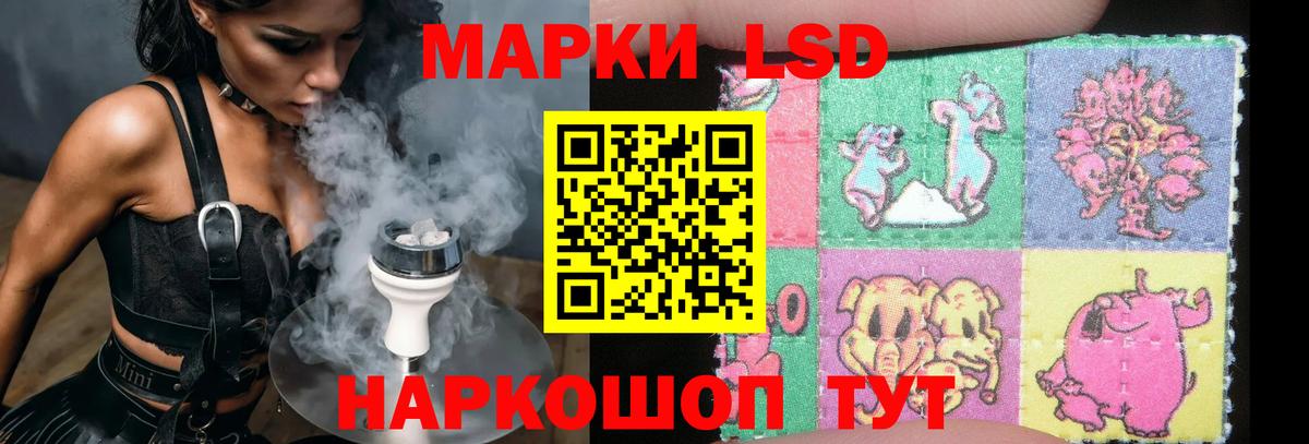 LSD-25 экстази кислота Богданович
