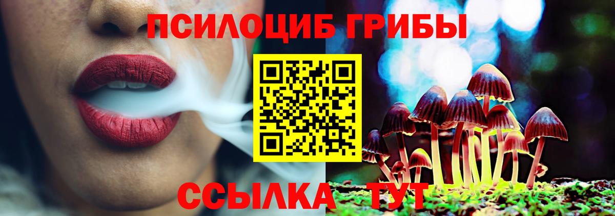Галлюциногенные грибы GOLDEN TEACHER Богданович