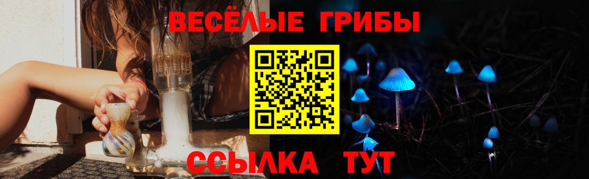 Богданович  Псилоцибиновые грибы прущие грибы  Галлюциногенные грибы мухоморы  Вход с VPN 