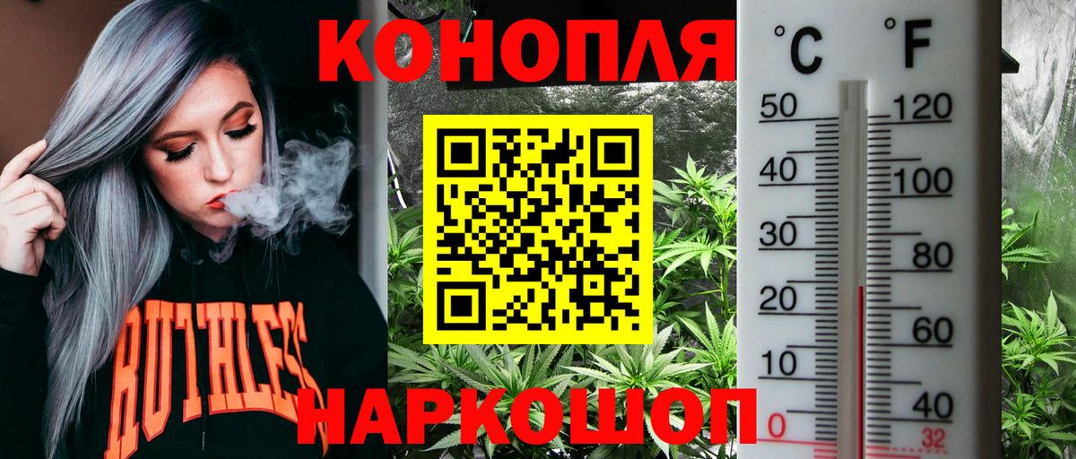 Конопля индика Богданович